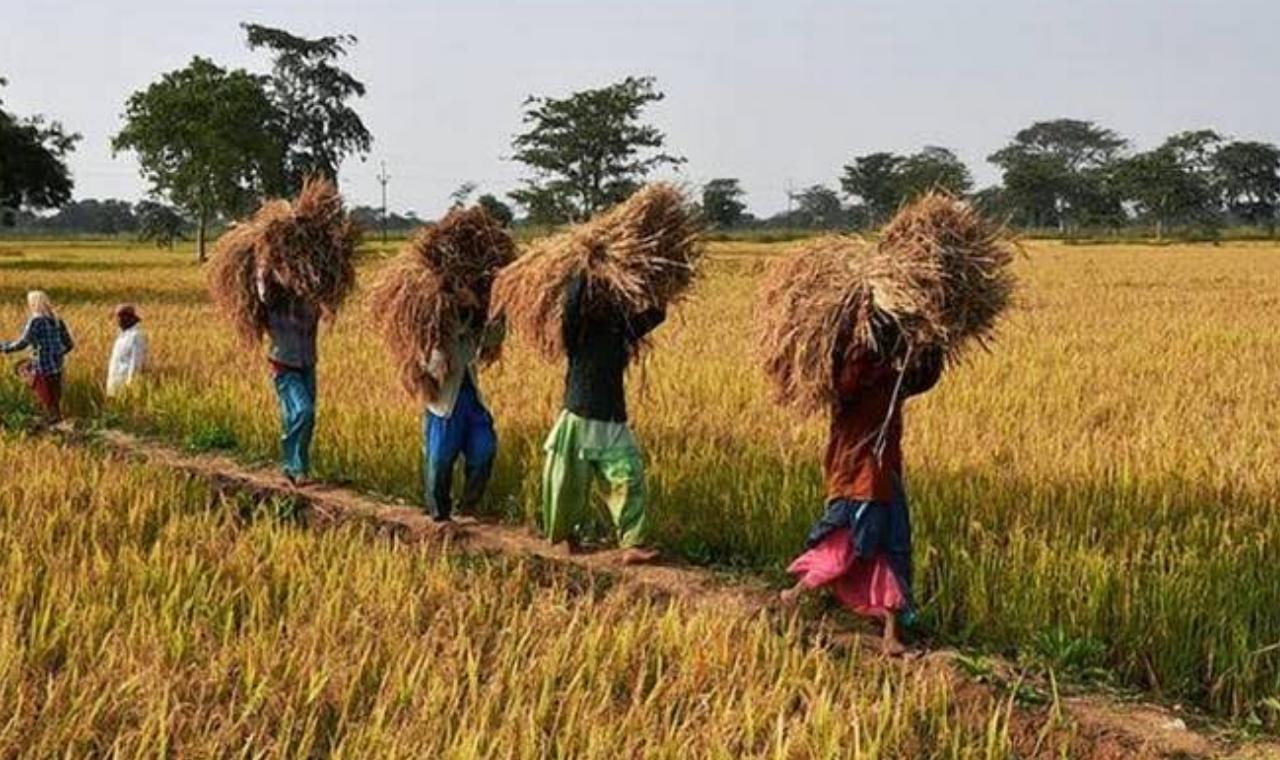 chhattees gadh kisan