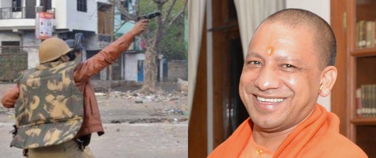 police and yogi