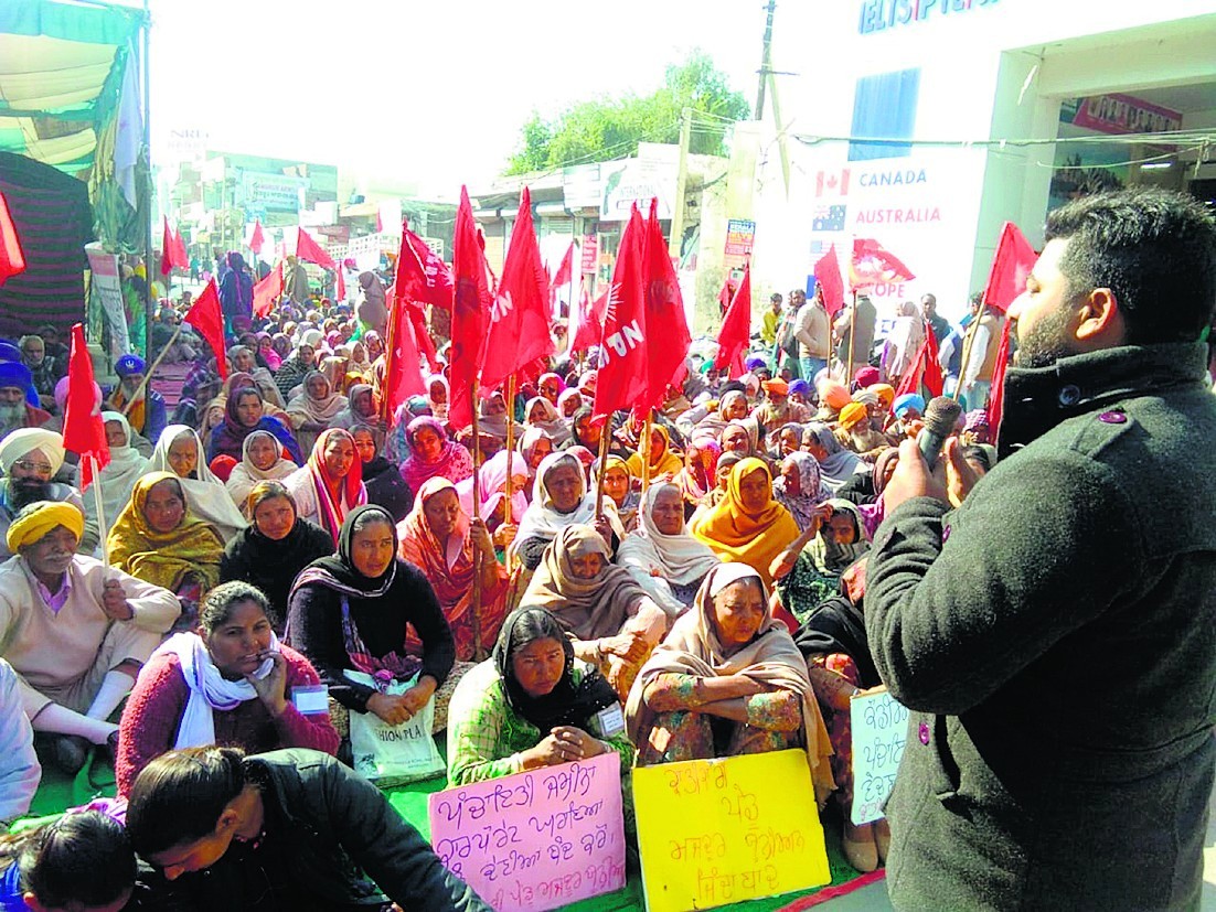 PUNJAB SHAMLAT