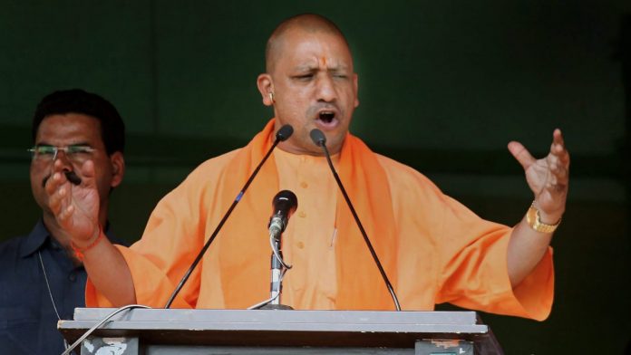 yogi