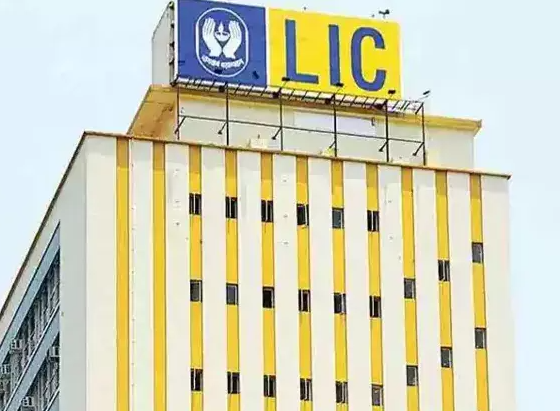 LIC loss in Adani