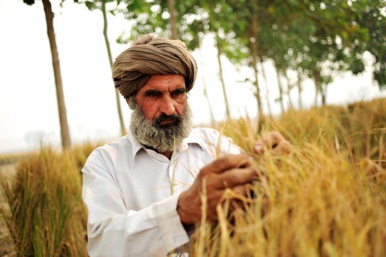 हिंदू राष्ट्र बन सकता है, तो खालिस्तान क्यों नहीं? पंजाबी सिखों के एक बड़े हिस्से का यह सेंटिमेंट बन रहा है